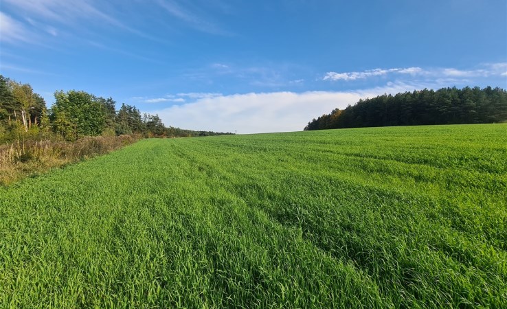 działka na sprzedaż - Kroczyce, Siamoszyce, Turystyczna