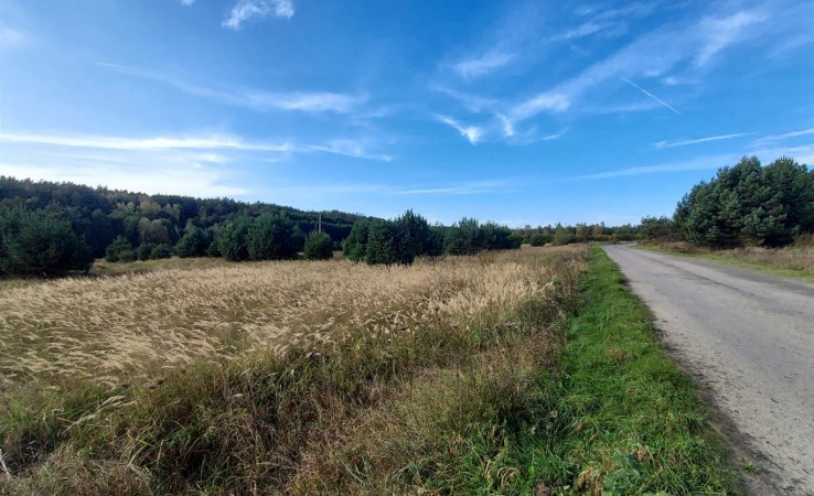 działka na sprzedaż - Łazy (gw), Rokitno Szlacheckie, Rokicka