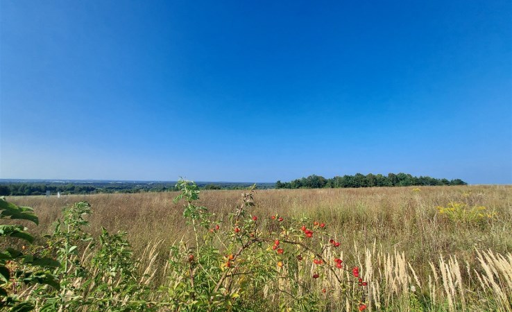 parcel for sale - Mierzęcice, Sadowie, Dworska