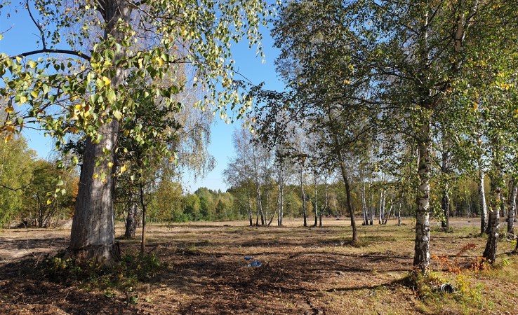 parcel for sale - Będzin, Łagisza, Odkrywkowa